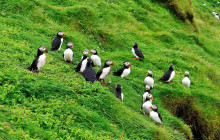 Magic Iceland Travel15