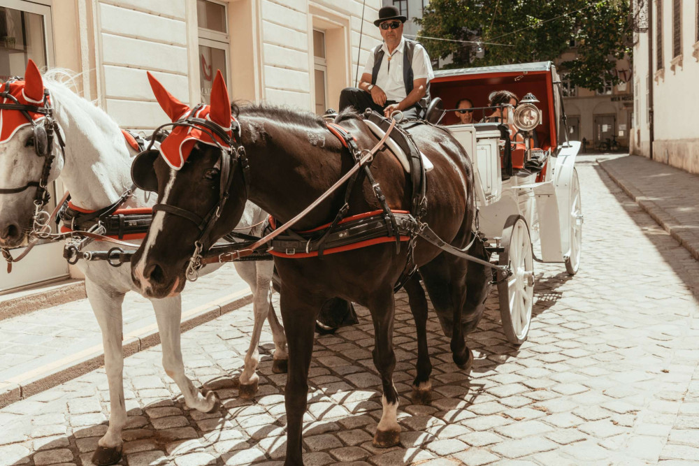 Small Group Expert-led Introduction to Vienna