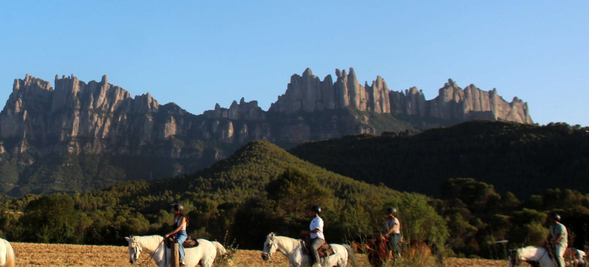 Expert-led Montserrat Full Day Trip from Barcelona with Horseback Riding, photo 3 of 5