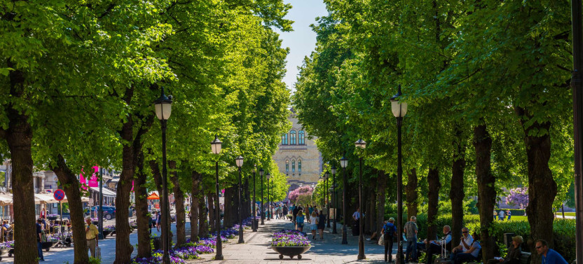 Private Expert-Led Oslo Welcome City Tour
