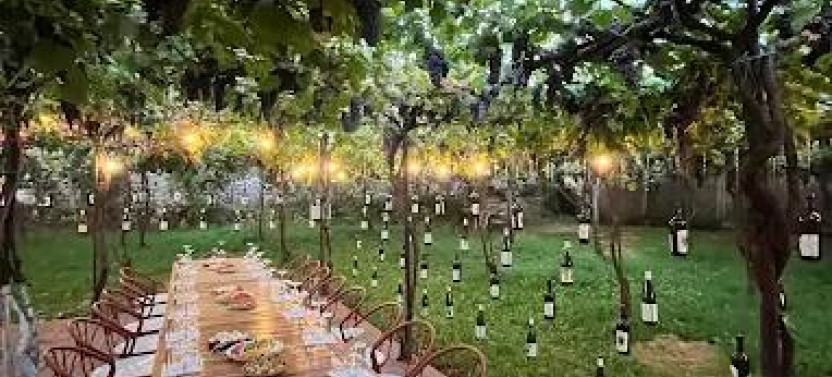 Discover Roshnik: Village Life and Alpeta Winery Tasting