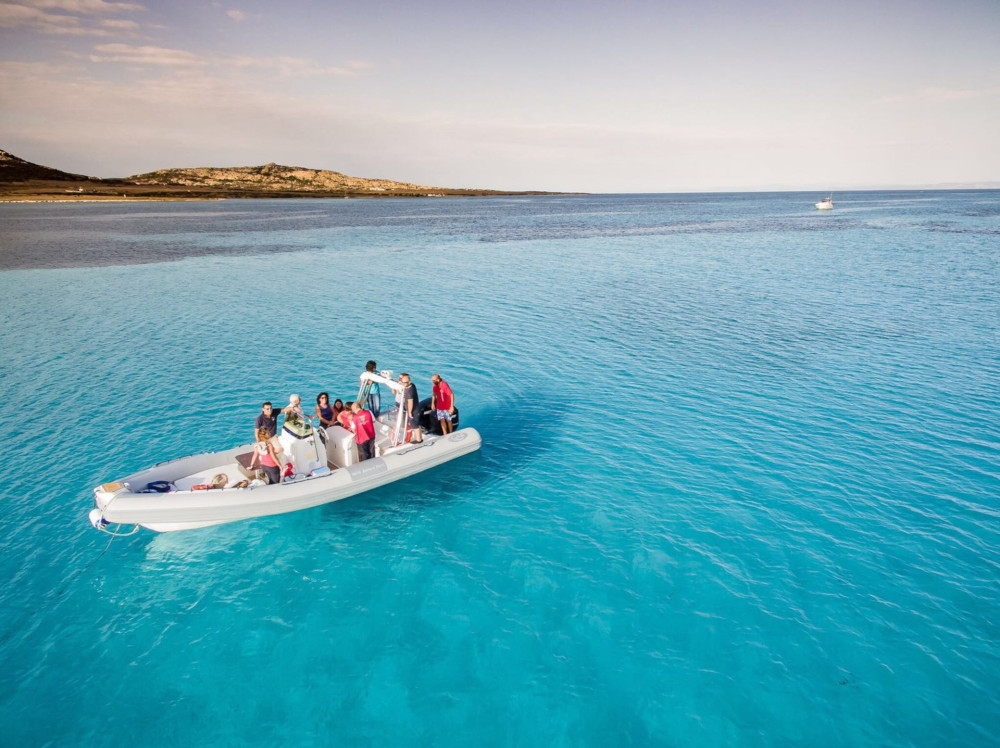 From Stintino: RIB Tour In The Gulf of Asinara