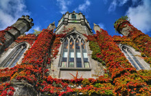 Explore Galway with Candela7