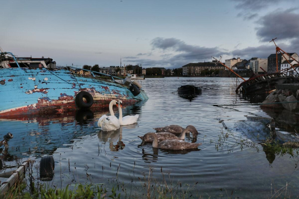 Explore Galway with Candela