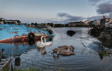 Explore Galway with Candela8