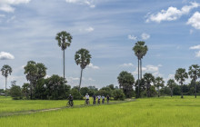 Discova Day Tours and Activities3