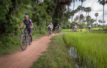 Discova Day Tours and Activities1