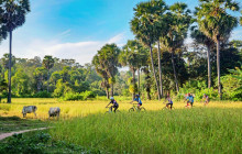 Discova Day Tours and Activities7