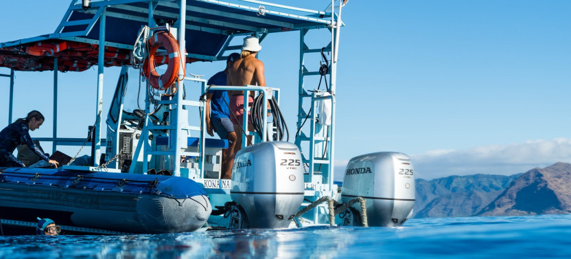 Private Charter: Dolphin Warrior