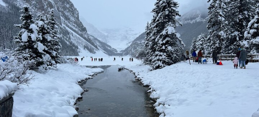 Shared Shuttle Sightseeing to Lake Louise, Emerald Lake & Johnston Canyon
