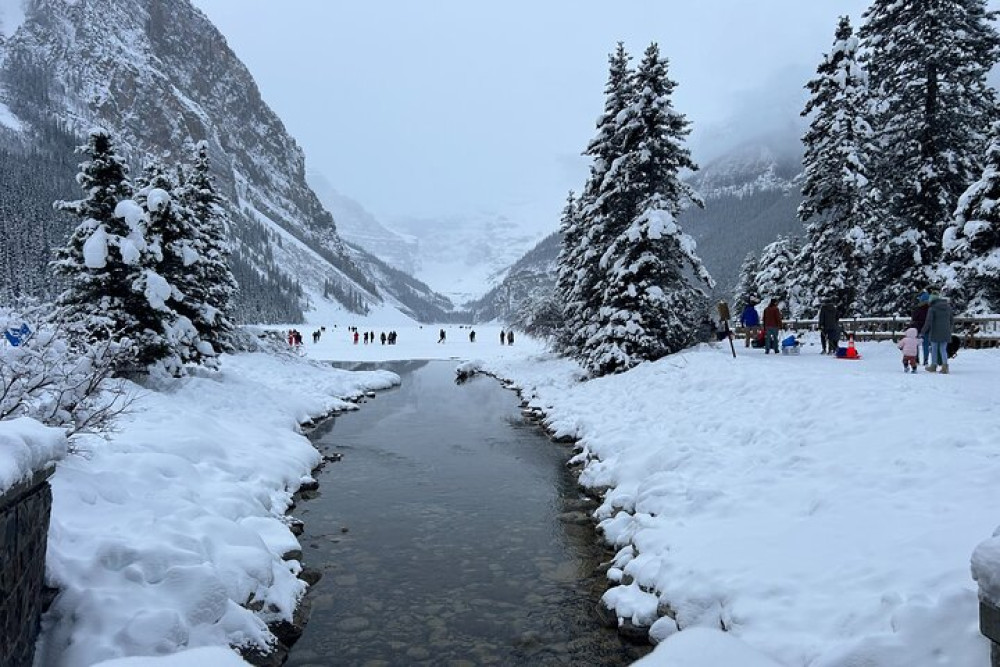 Shared Shuttle Sightseeing to Lake Louise, Emerald Lake & Johnston Canyon