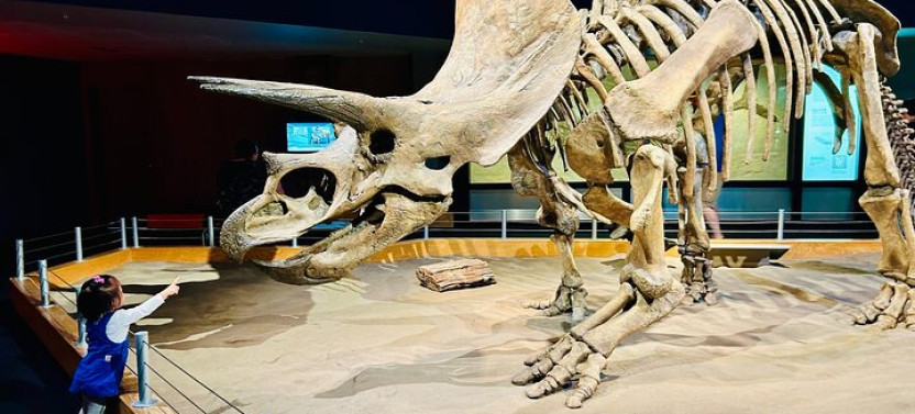 Private Drumheller & Alberta Badlands Tour with Royal Tyrrell Museum
