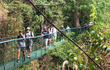 Greenway Nature Tours403