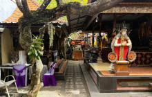 Discova Day Tours and Activities6