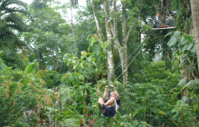 Greenway Nature Tours408