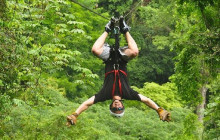 Greenway Nature Tours411