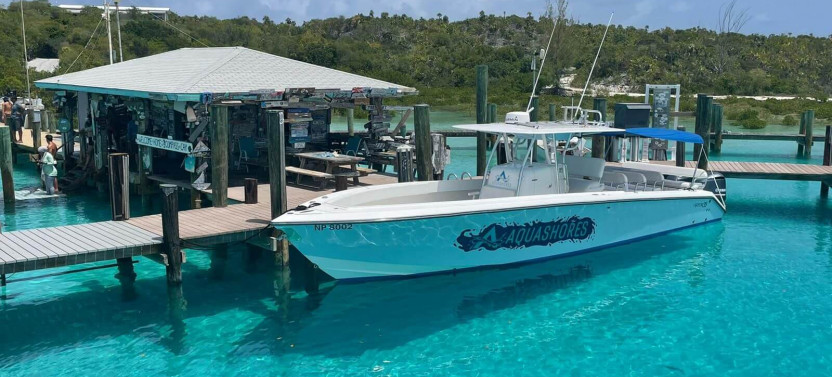 Famous Exuma Swimming Pigs at Big Major Cay, Sharks & Iguanas