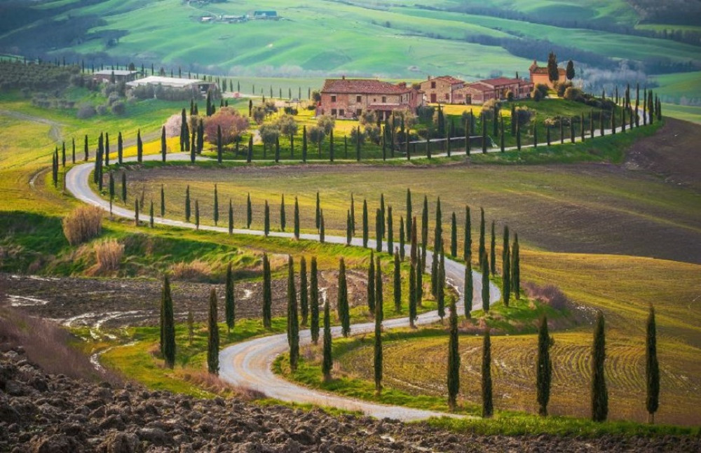 Tuscany Wine & Hills Tour From Florence