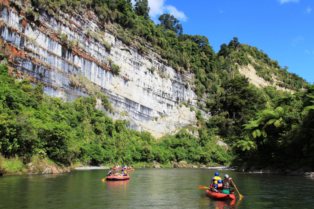 Scenic Family Rafting Adventure with Riverside Lunch on the Rangitikei