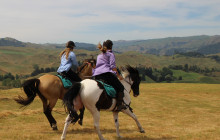 River Valley Ventures Ltd1