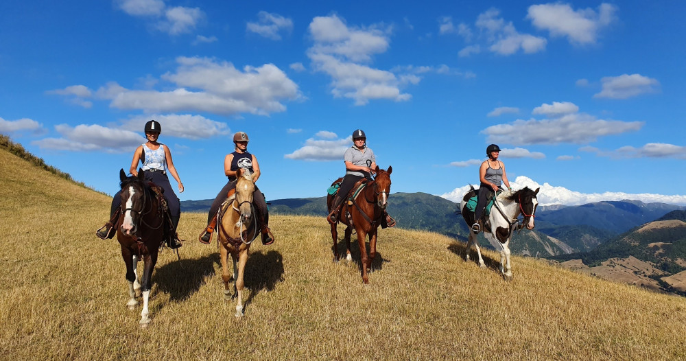 Full-Day Adventurous Horseback Ride in Rangitikei Backcountry