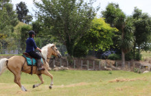 River Valley Ventures Ltd3