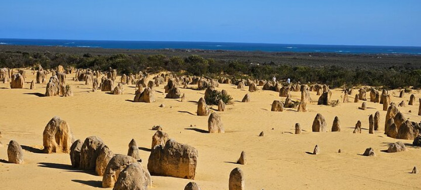 Guided Pinnacles Desert Day Private Tour with Sandboarding Adventure