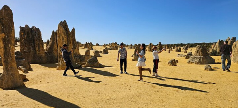Guided Pinnacles Desert Day Private Tour with Sandboarding Adventure