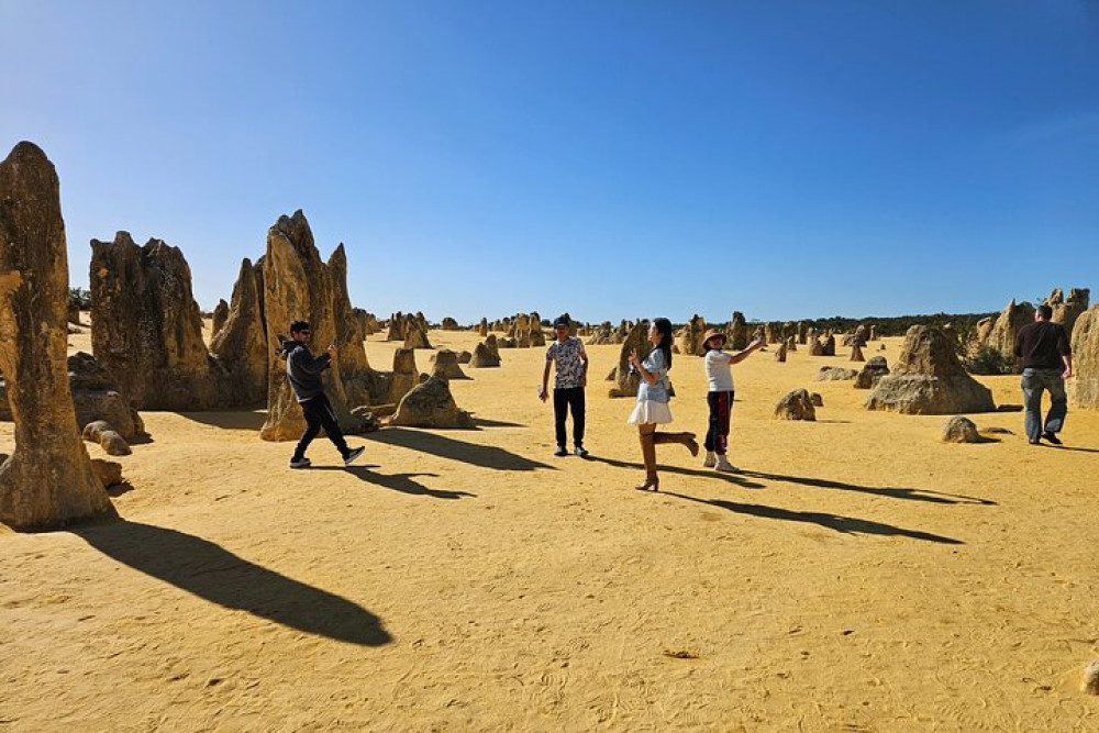 Guided Pinnacles Desert Day Tour with Sandboarding Adventure
