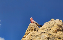 Perth Short Stay Tours12