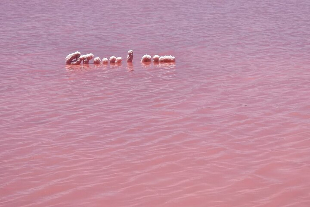 2-Day Small-Group Pink Lake, Nature’s Window & Pinnacles Tour