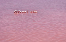 Perth Short Stay Tours11