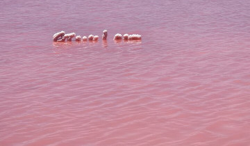 A picture of 2-Day Small-Group Pink Lake, Nature’s Window & Pinnacles Tour