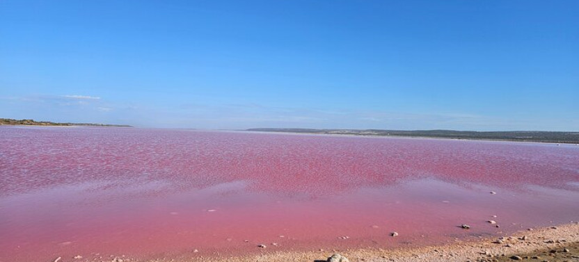 2-Day Small-Group Pink Lake, Nature’s Window & Pinnacles Tour