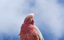 Perth Short Stay Tours14