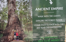 Perth Short Stay Tours12