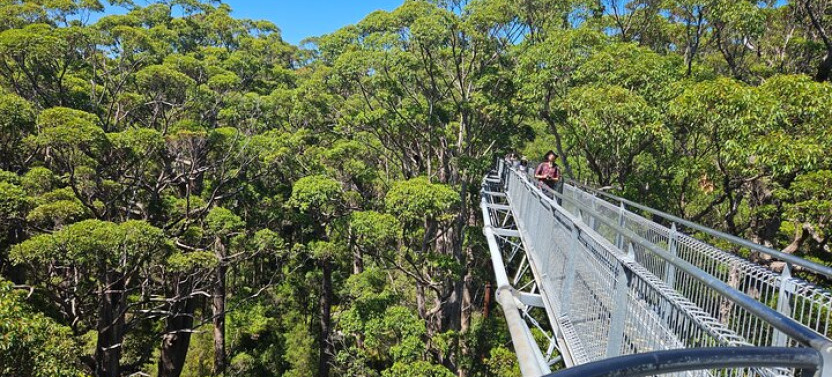 2 Day Tour of Busselton Jetty, Ngilgi Cave and Valley Of The Giants