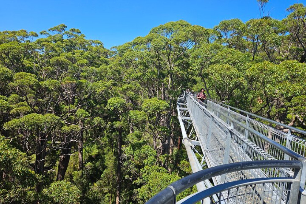 2 Day Tour of Busselton Jetty, Ngilgi Cave and Valley Of The Giants