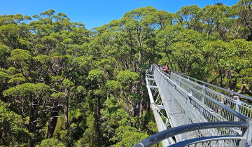 A picture of 2 Day Tour of Busselton Jetty, Ngilgi Cave and Valley Of The Giants