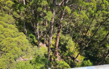 Perth Short Stay Tours14