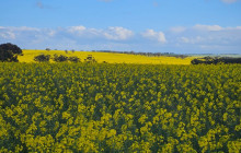 Perth Short Stay Tours8