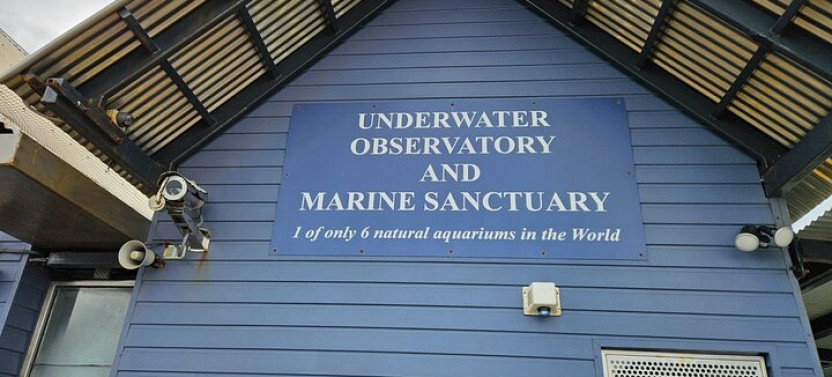Busselton Jetty & Underwater Observatory Day Trip from Perth