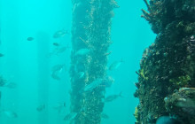 Perth Short Stay Tours4