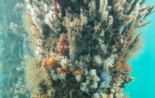 Perth Short Stay Tours6