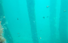 Perth Short Stay Tours7