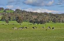 Perth Short Stay Tours8