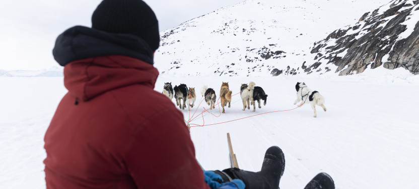 2-Hour Traditional Dog Sledding Adventure in Ilulissat