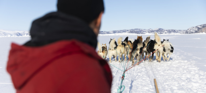 2-Hour Traditional Dog Sledding Adventure in Ilulissat