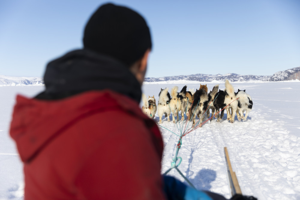 2-Hour Traditional Dog Sledding Adventure in Ilulissat