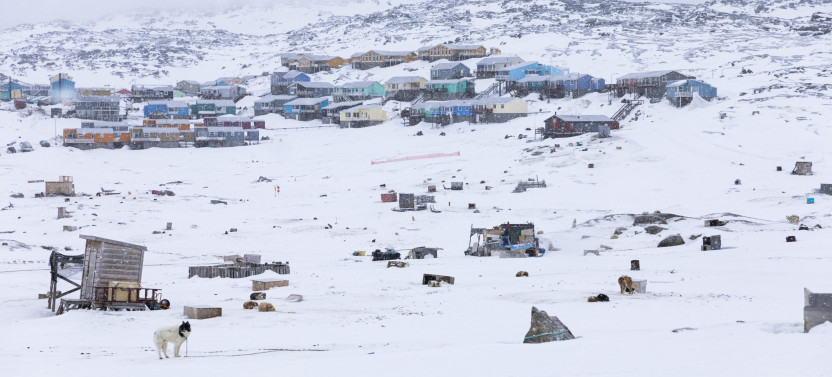 Arctic Sled Dog Kennel Visit & Cultural Experience in Ilulissat